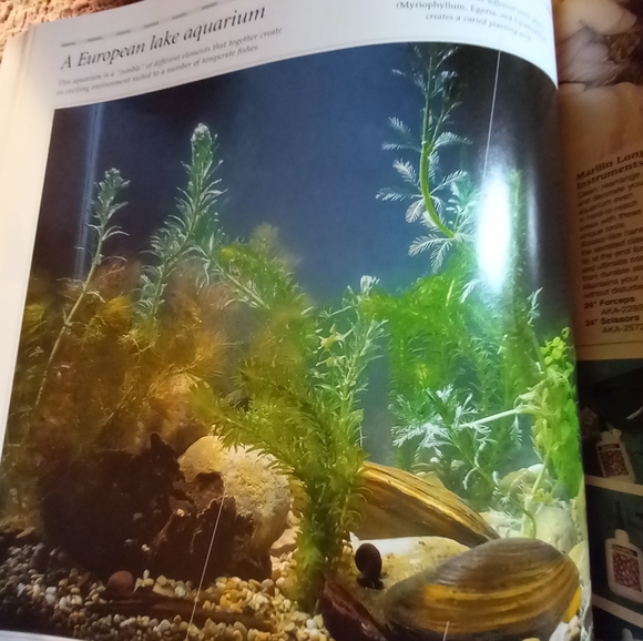 Aquarium Designs Inspired by Nature. Hardback - Picture 8 of 14